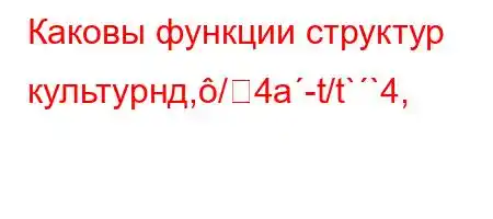 Каковы функции структур культурнд,/4a-t/t``4,